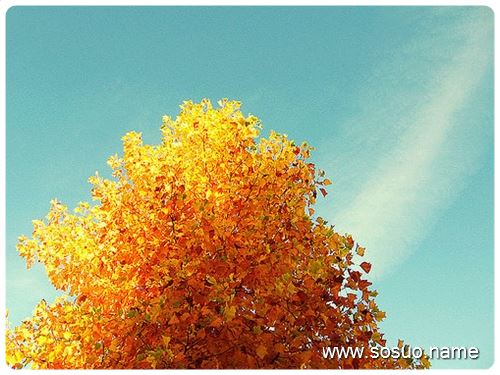 �μ��ڴ�����ˁG�����,�����μ��ڴ�����ˁG�����