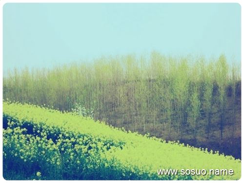 �μ������ɸ�,�����μ������ɸ�