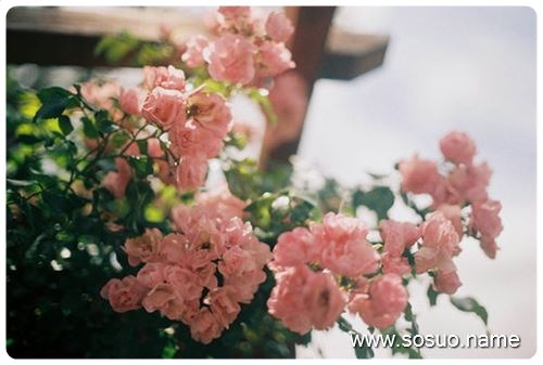 �μ��ֱ�����͹���ز�,�����μ��ֱ�����͹���ز�