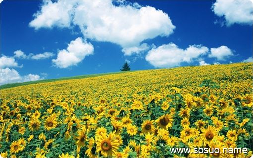 �μ���ȥ���˵Ĺǻ�,�����μ���ȥ���˵Ĺǻ�