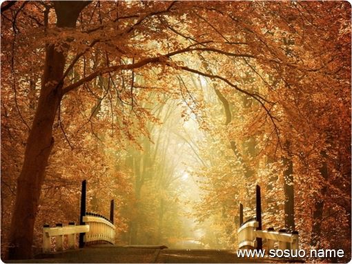 �μ�ĵ������ɫ�Ļ�,�����μ�ĵ������ɫ�Ļ�