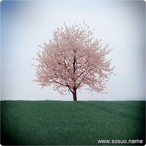 �μ��ŵ׵�Ƥ,�����μ��ŵ׵�Ƥ