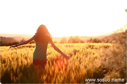 �и��μ�̥������,�����и��μ�̥������
