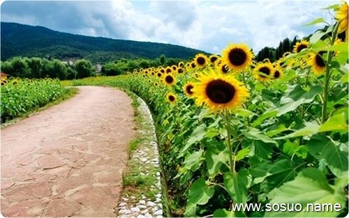 �μ����кܴ����,�����μ����кܴ����
