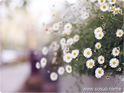 �μ��ڵ������ߺ�ӿ��,�����μ��ڵ������ߺ�ӿ��