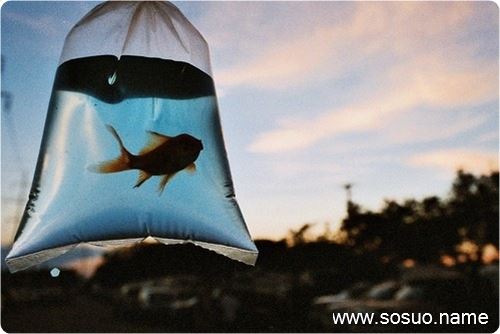 �μ��ô�װ����Ǯ,�����μ��ô�װ����Ǯ