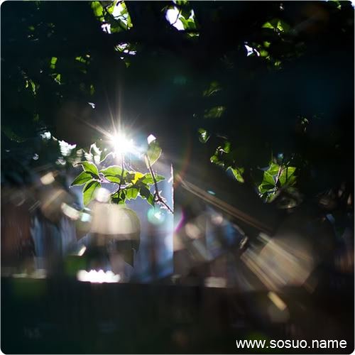 �μ������������Һ�,�����μ������������Һ�
