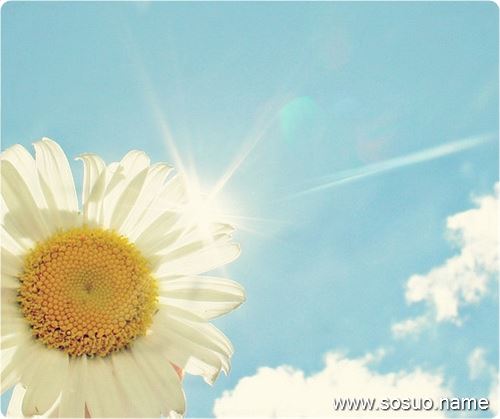 �μ��ձ�������ҧ��,�����μ��ձ�������ҧ��