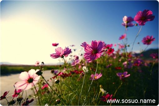 �μ���������Ǯ��,�����μ���������Ǯ��