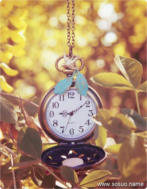 �μ�ϴ��ˮ���ﶼ��Ů��,�����μ�ϴ��ˮ���ﶼ��Ů��