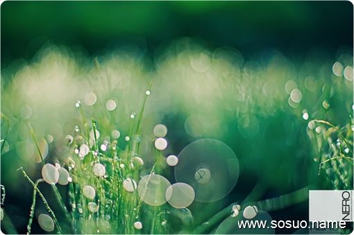 �μ���ժ���Ӻ�ץС��,�����μ���ժ���Ӻ�ץС��