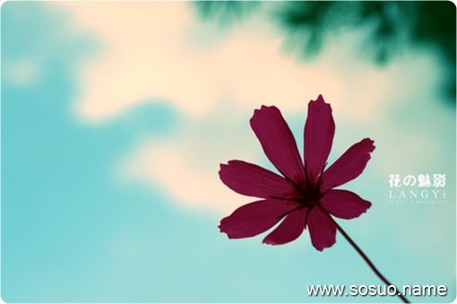 �μ���ȫ�Ҹ��л�ѪС����,�����μ���ȫ�Ҹ��л�ѪС����