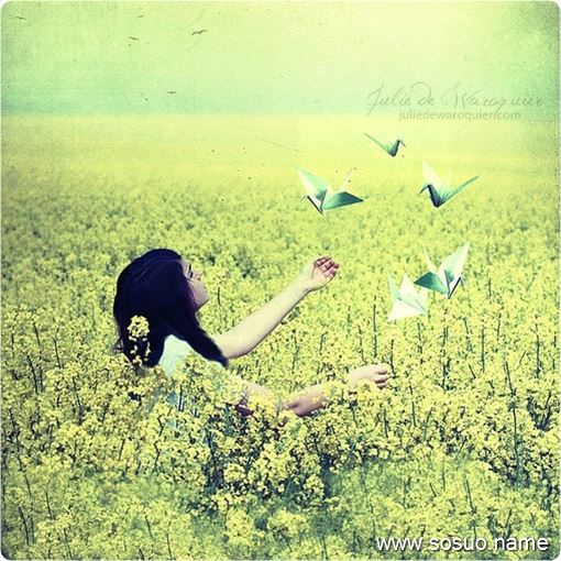 �μ��ڼ�����Ⱦƴ��,�����μ��ڼ�����Ⱦƴ��