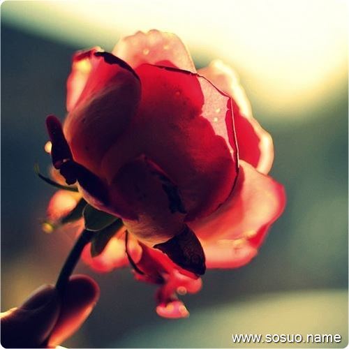 �μ���ȥ�Է�ȥ���˳Թ���,�����μ���ȥ�Է�ȥ���˳Թ���