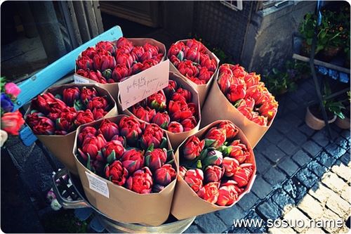 �μ����˿�����,�����μ����˿�����