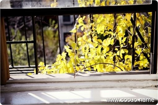 �μ�������������·��,�����μ�������������·��