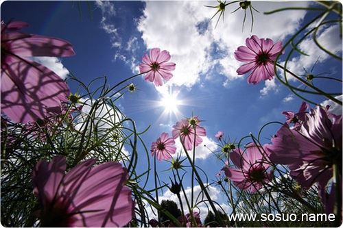 �μ�ʧ����������,�����μ�ʧ����������