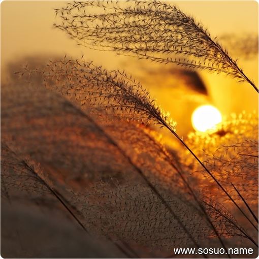 �и��μ�����,�����и��μ�����