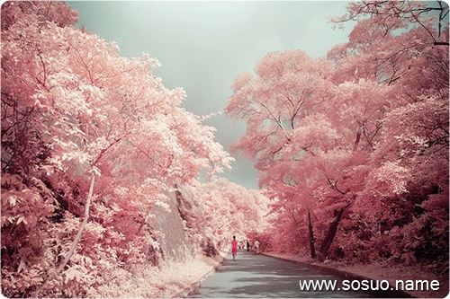 �μ�Ů�˳��Ϲ�,�����μ�Ů�˳��Ϲ�