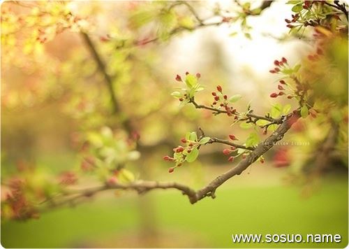 �μ�һ��һŮӤ��,�����μ�һ��һŮӤ��