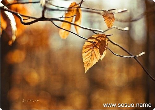 �μ����ű���ˮ����,�����μ����ű���ˮ����