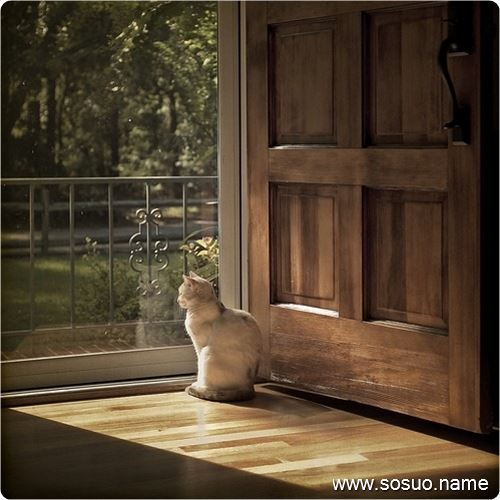 �μ����ذ���ľ,�����μ����ذ���ľ