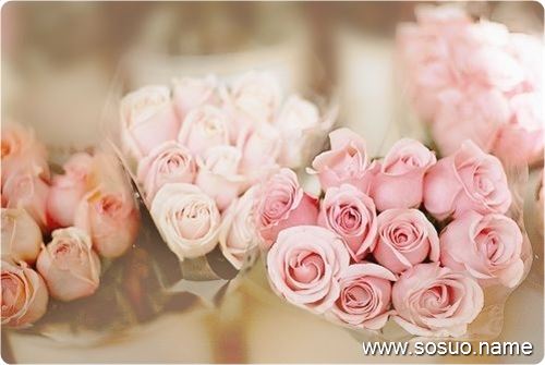�μ��Լ��Ͱ�è��ܱ�èץ,�����μ��Լ��Ͱ�è��ܱ�èץ