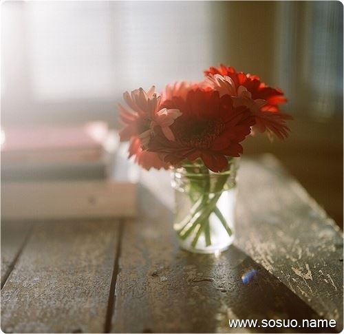 �μ��Լ��ں�����Ư��,�����μ��Լ��ں�����Ư��