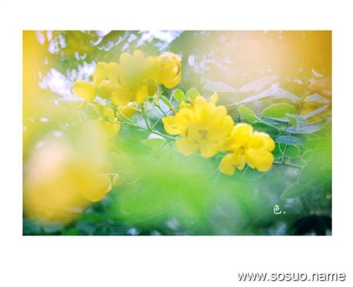 �μ��ʵ�����������ʲô��,�����μ��ʵ�����������ʲô��