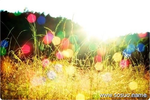�и��μ���Ұè׷,�����и��μ���Ұè׷