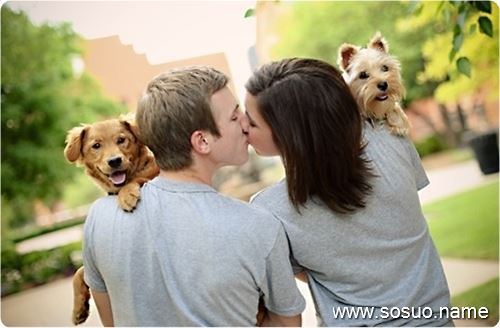 �μ��ְ�������,�����μ��ְ�������