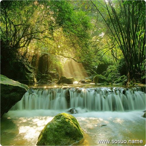 �μ����۵ĳ���ը��,�����μ����۵ĳ���ը��