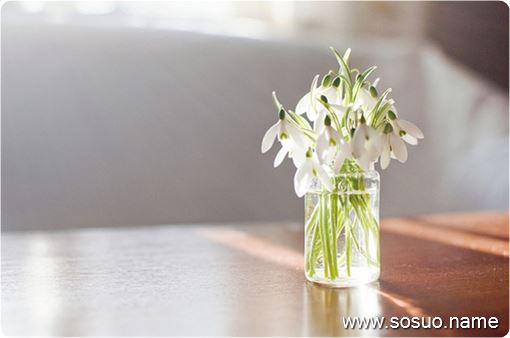 �μ�ȥ����ĸ�׵���,�����μ�ȥ����ĸ�׵���