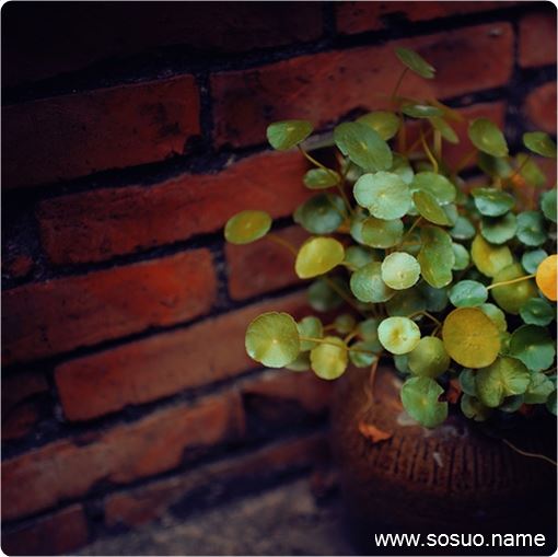 �μ���Ϥ���������鷿������,�����μ���Ϥ���������鷿������