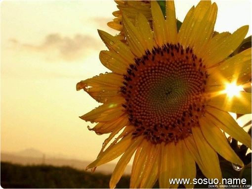 �μ�������Ħ�г���ˮ����,�����μ�������Ħ�г���ˮ����