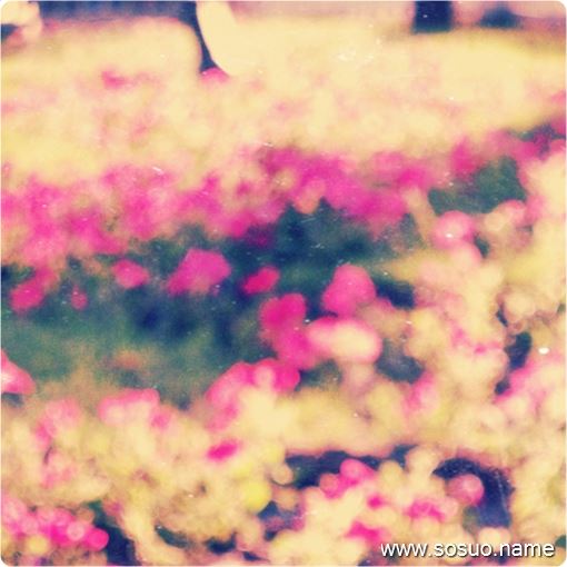 �μ�С����ҧ�Ҿ�,�����μ�С����ҧ�Ҿ�