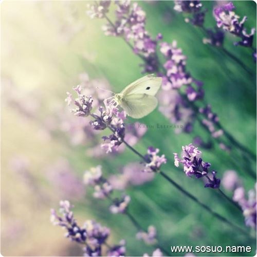 �μ����Ϲ��ٳ�,�����μ����Ϲ��ٳ�