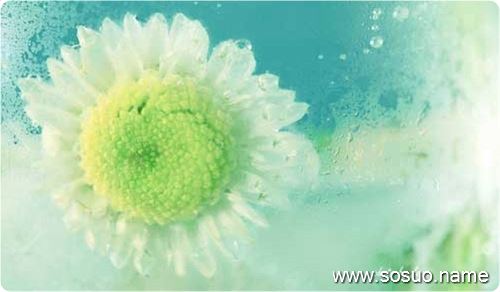 �μ���ֻ��������ͷ�߷���,�����μ���ֻ��������ͷ�߷���