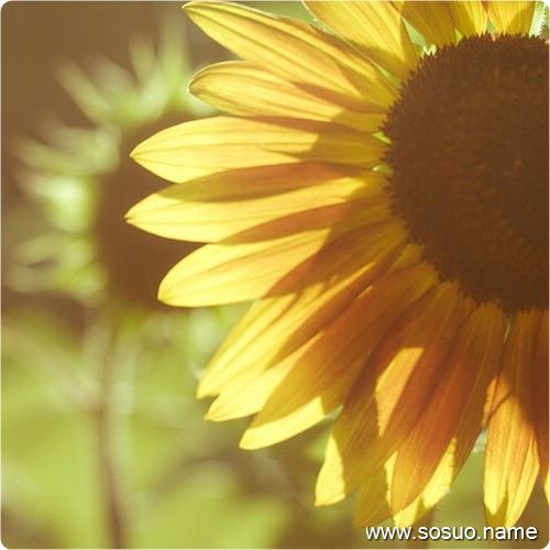 �μ������Ż�ͷ�����,�����μ������Ż�ͷ�����