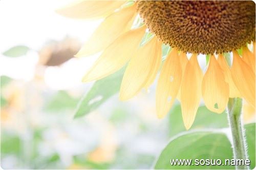 �μ�һЩ����,�����μ�һЩ����
