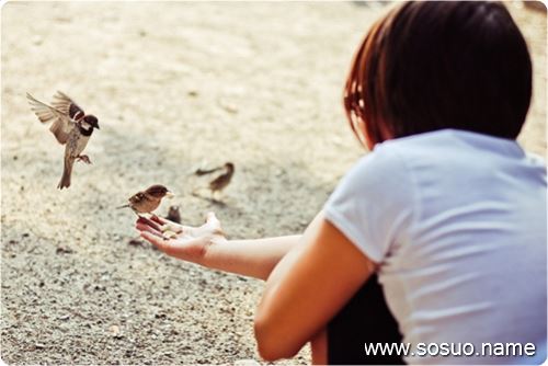 �μ������Ǳ��Ҵ���,�����μ������Ǳ��Ҵ���