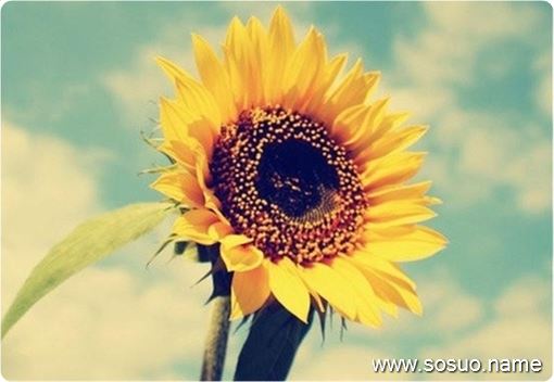 �μ��˸���,�����μ��˸���