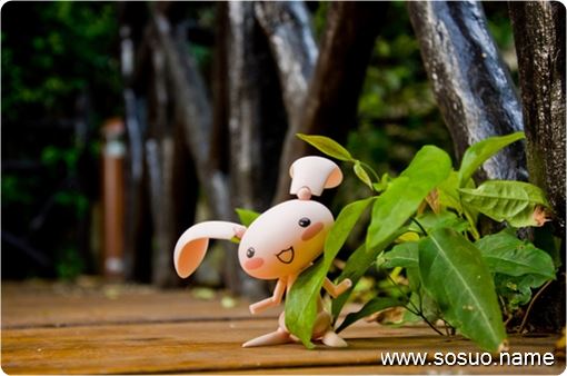 做梦梦见芹菜是什么意思 做梦梦见芹菜是什么意思