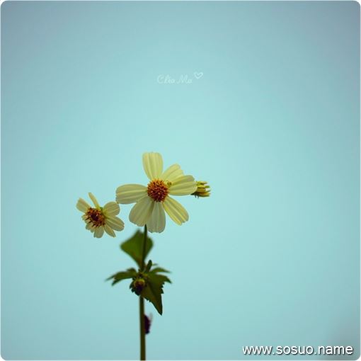 �μ�����ʰ��,�����μ�����ʰ��