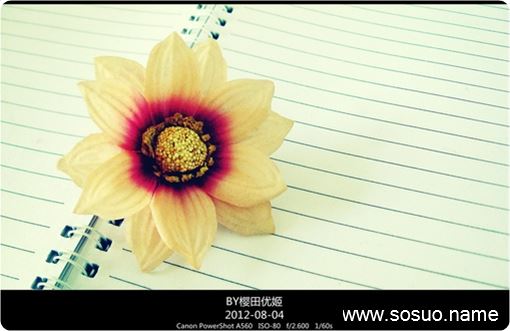 �μ�����������¥����,�����μ�����������¥����