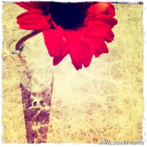 �μ�������ҧ,�����μ�������ҧ