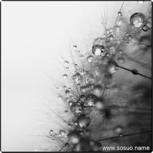 �μ�����Ů��ι��,�����μ�����Ů��ι��