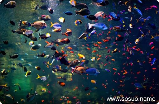 �μ�Ů��ͷ���кܶ�ʭ��,�����μ�Ů��ͷ���кܶ�ʭ��