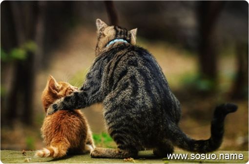 �μ������ڳԳ�,�����μ������ڳԳ�