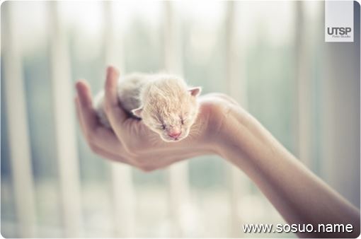 �μ���������м���,�����μ���������м���